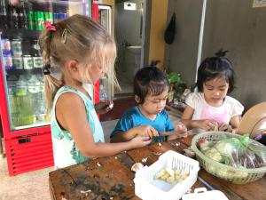 phong nha coco house