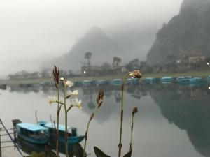 phong nha coco house