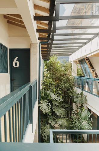 hotel plantacion