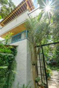 hotel plantacion
