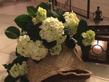 la maison des eaux claires