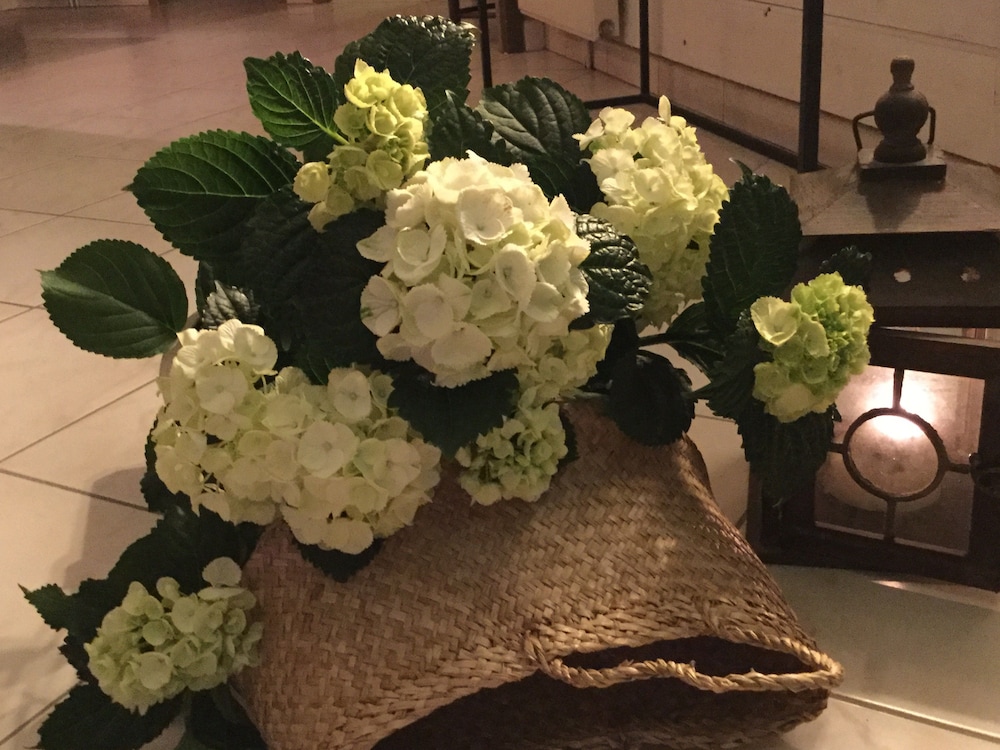 la maison des eaux claires