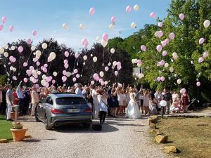 domaine des pierres dorees