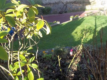 saint jean le thomas