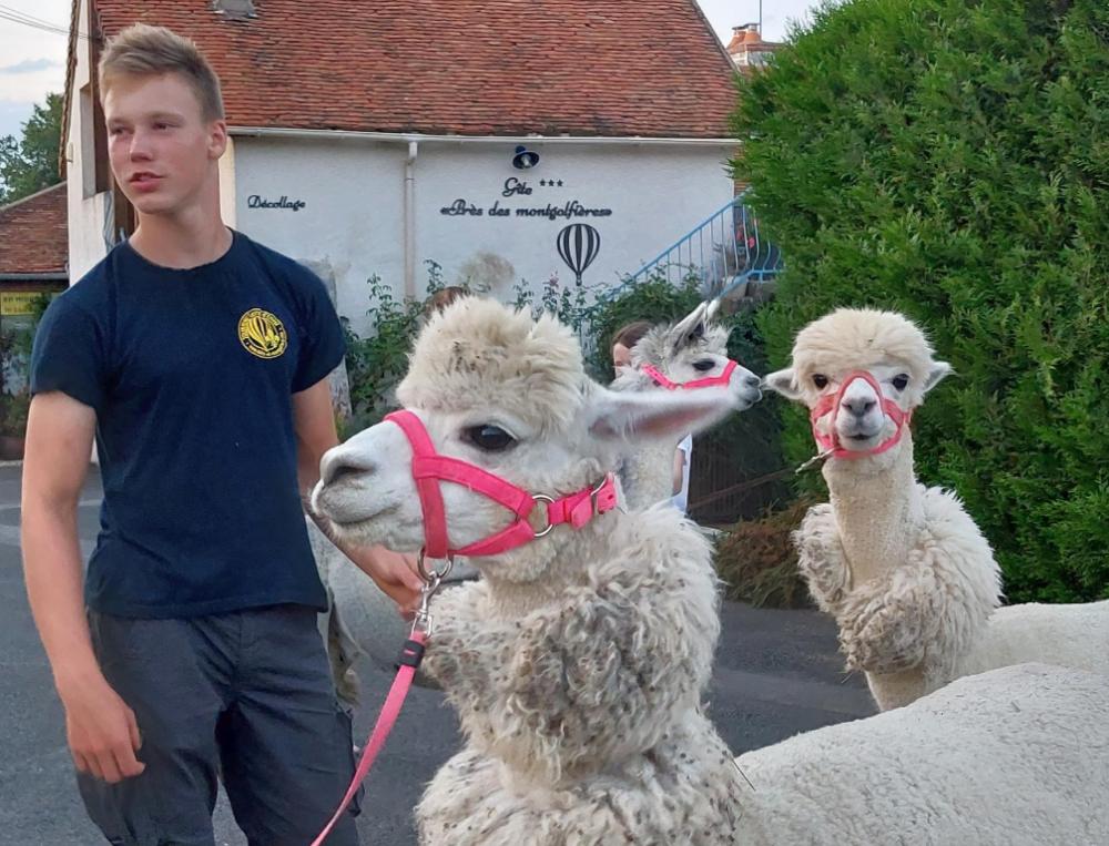 gite pres des montgolfieres