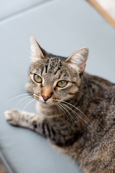 chateau latour segur suites and spa