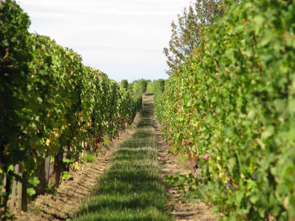 chateau latour segur suites and spa