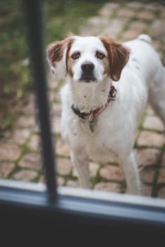 chateau latour segur suites and spa