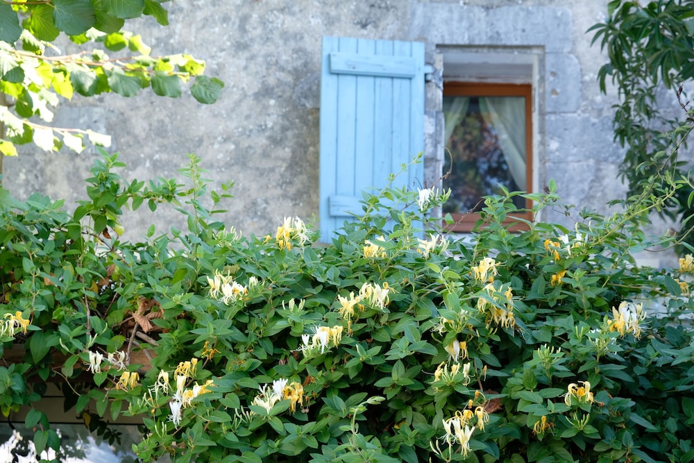 marennes hiers brouage