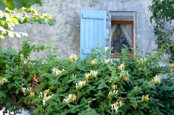 marennes hiers brouage