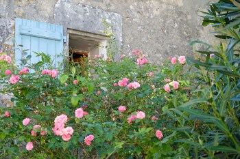 marennes hiers brouage