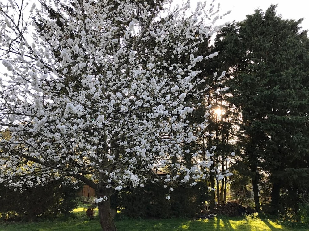 chambre dhotes coquelicot