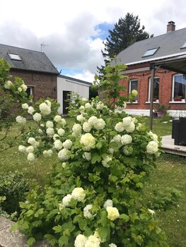 chambre dhotes coquelicot
