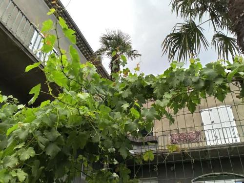 maison jaffran suite en ville