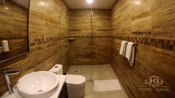 hotel david