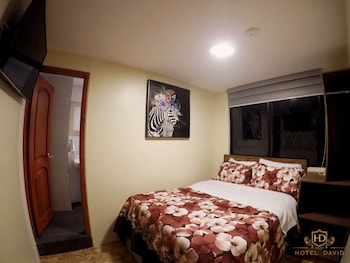 hotel david