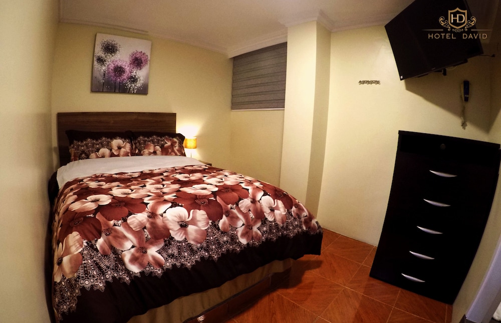 hotel david
