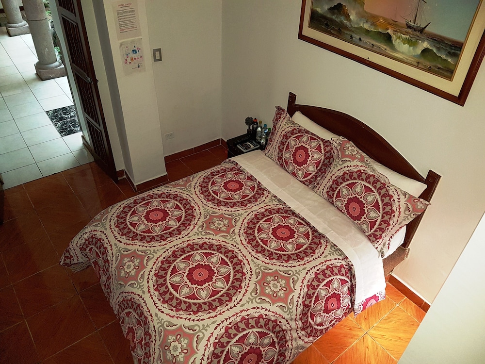 hotel david
