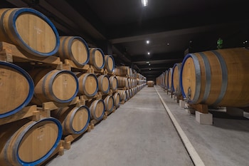 winery and design hotel roxanich