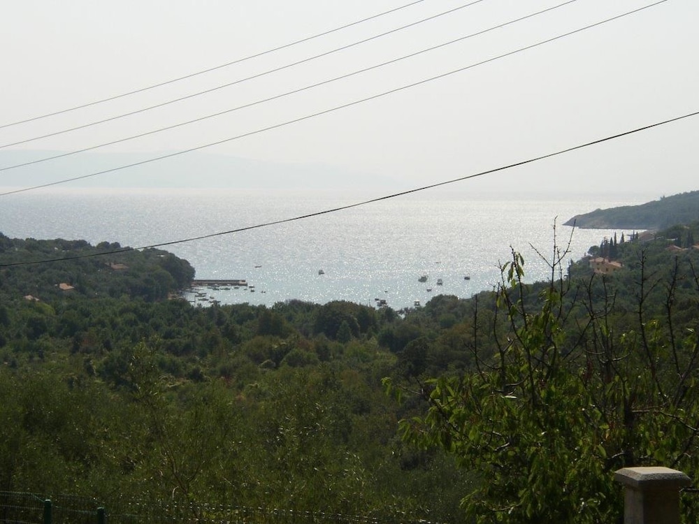 rasa