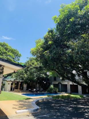 hotel mango