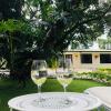 hotel mango