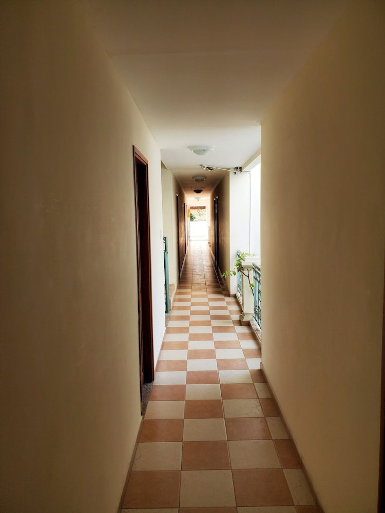 hostal solymar