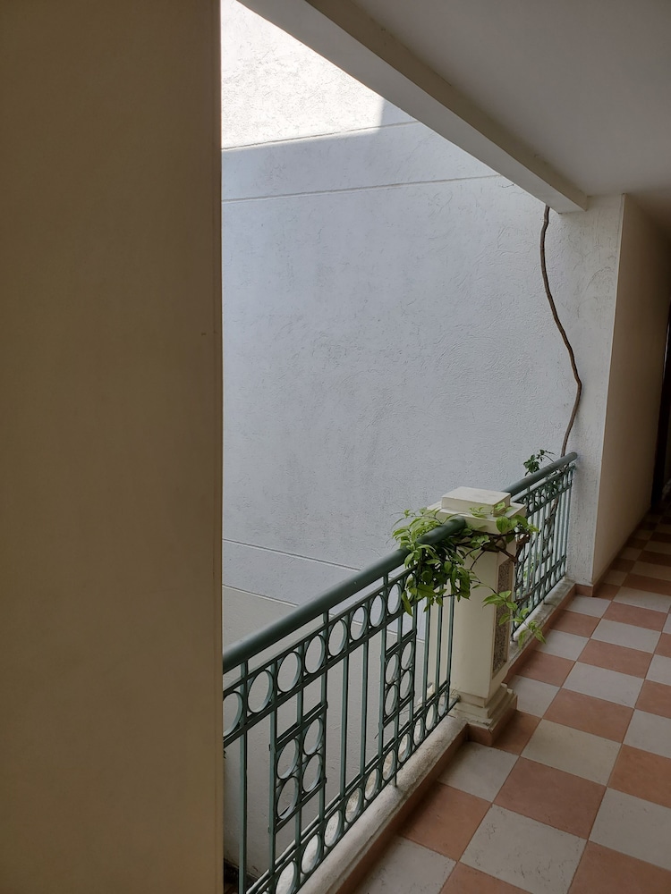 hostal solymar