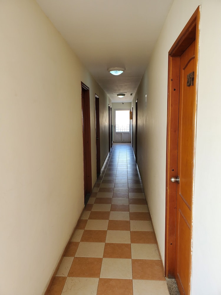 hostal solymar