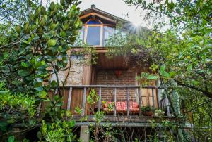 hostal renacer