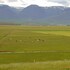 skagafjorour