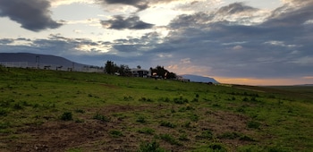 skagafjorour