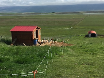 skagafjorour