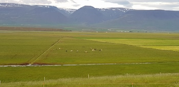 skagafjorour