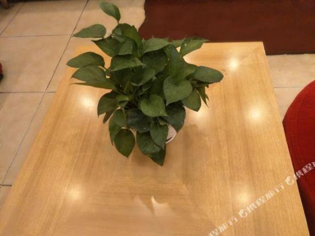 home inn yining jiefang road