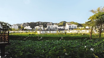 yantai