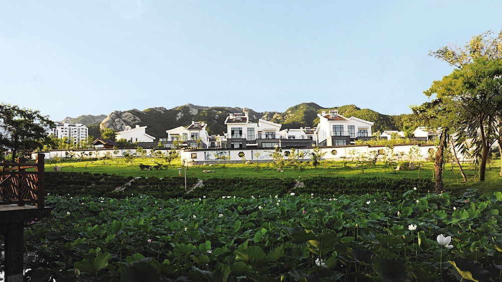 yantai