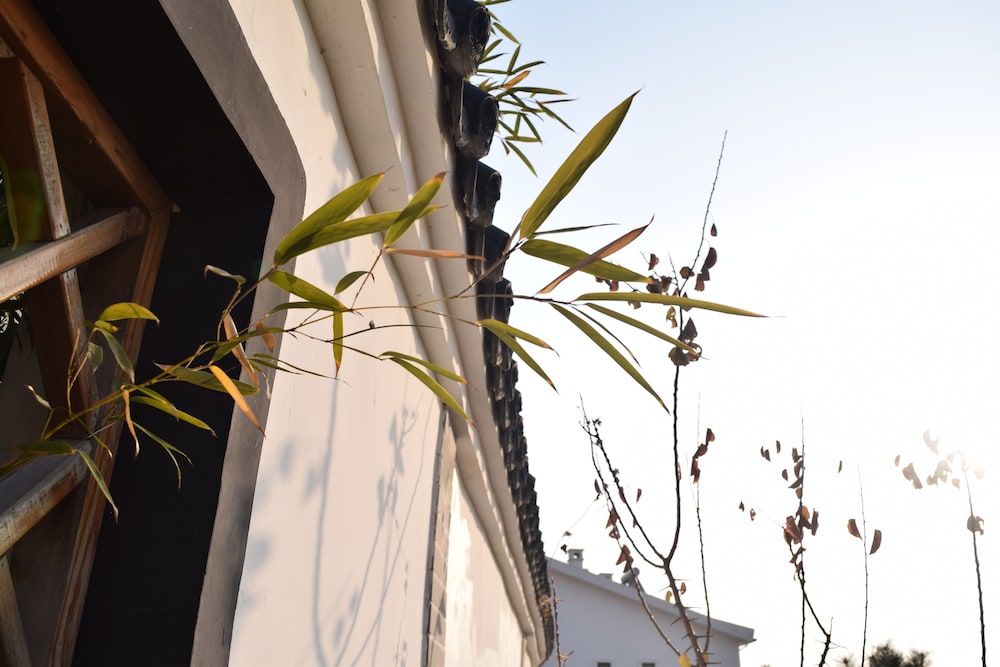 the brigh eco hotel yantai