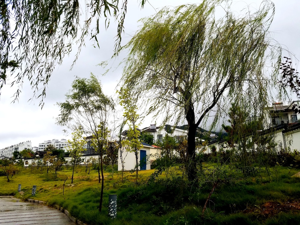 yantai
