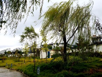 yantai