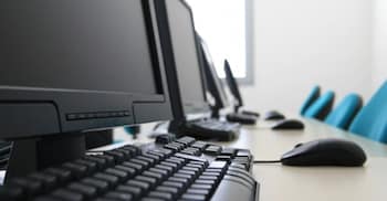 treeline urban resort