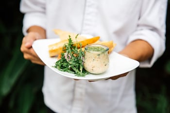 treeline urban resort