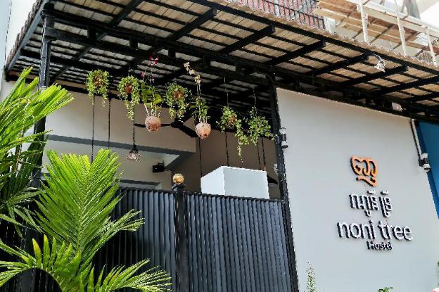 noni tree hostel
