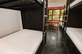 mad monkey phnom penh hostel