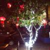 thanh trung hotel