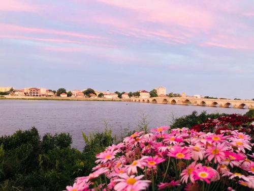 merit grand mosta spa hotel and casino
