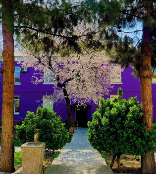 armon apart hotel