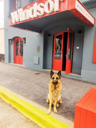 mendoza