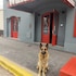 mendoza