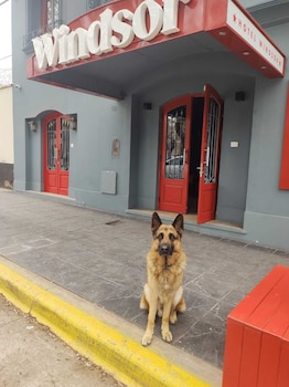 mendoza